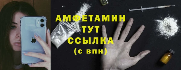 молекула духа Алексеевка