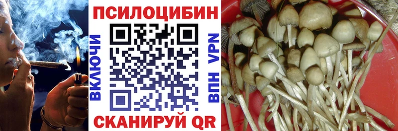 магазин    Любань  Псилоцибиновые грибы Magic Shrooms 